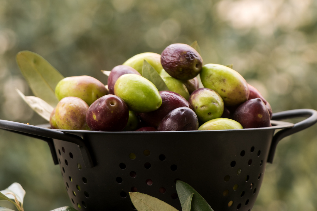 Grüne vs. schwarze Oliven - Wo liegt der Unterschied?