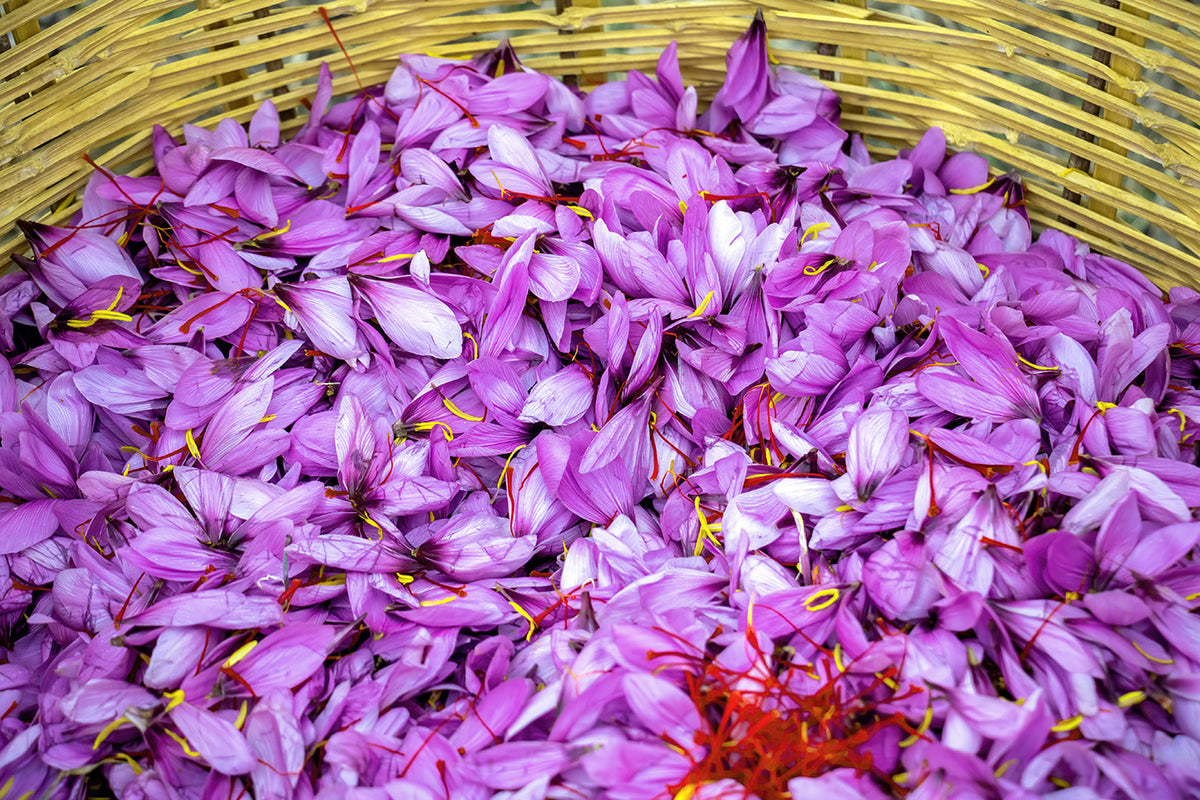 BIO Griechischer Safran - HERMES BIO